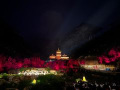 -禅宗少林·音乐大典