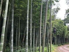 -黄公望隐居地