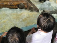 -海南热带野生动植物园