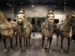 -秦始皇帝陵博物院-丽山园