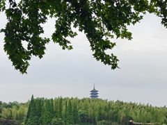 -宜兴龙背山森林公园