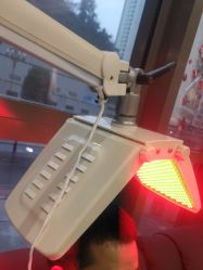 -碧莲盛·不剃发植发