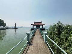 -无锡蠡湖国家湿地公园-蠡园