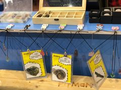 -皮特曼淘矿小镇(领秀城贵和店)