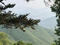 -竹光餐厅(莫干山天籁之梦日出酒店)