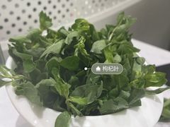 -四季缤纷椰子鸡(梅溪新天地店)