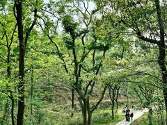 -青龙山国家森林公园