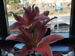 -花马天堂云南餐厅 Lost Heaven(外滩店)