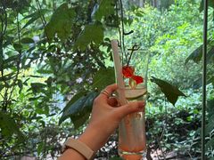 -谷咖啡·鲜花绿植花园餐厅