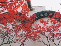 -沧浪亭