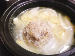 -丁老爷子苏香圆