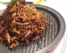 -大鸭梨烤鸭店(花园村店)