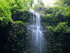 -莫里热带雨林景区