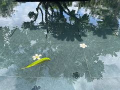 -三亚太阳湾柏悦酒店