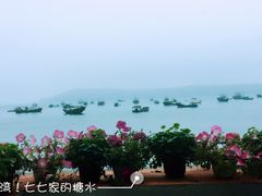 -七七家的糖水店(南湾街1号店)