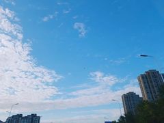 -稻早料理美术馆(城阳店)