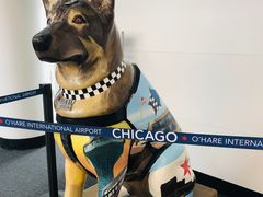 -奥黑尔国际机场