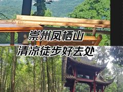 -凤栖山
