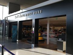 -戴高乐机场火车站