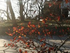 景点-燕窝岭