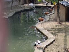 -水绘园