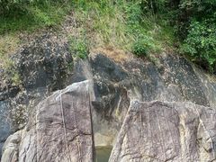 -广州白江湖森林公园