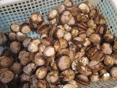 -富力希尔顿酒店·地阔自助餐厅