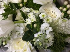 -植物学家的女儿(北马道巷店)