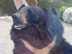 -栾川竹海野生动物园