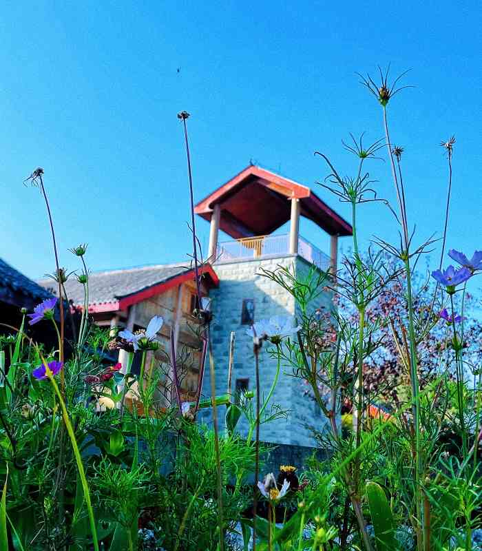 千野草场景区-"来到重庆旅游,你怎么能错过重庆石柱千野草.