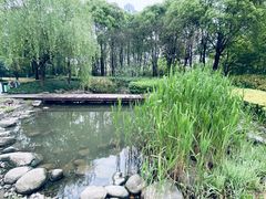 -苏州河梦清园环保主题公园