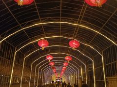 -北戴河集发农业梦想王国