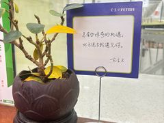 -它主义宠物(梁溪万达店)