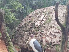 -云南野生动物园