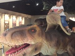-中国地质大学逸夫博物馆
