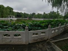 -丰台花园