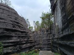 -梭布垭石林景区