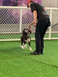 -酷嗒动物文化乐园(cutezoo西溪乐天城店)