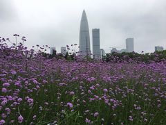 -深圳湾公园(南山区)