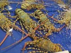 -阿浪海鲜连锁加工店(B栋2排1号火车头店)