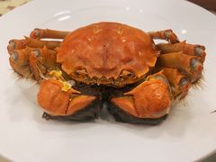 -王宝和酒家(黄浦店)