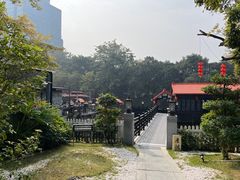 -侨美·唐荔园·40年地道粤菜