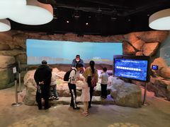 -沈阳海洋探索中心