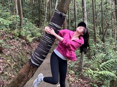 -龙湾潭国家森林公园