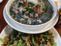 -全乐鱼馆·淳牌有机鱼直营店