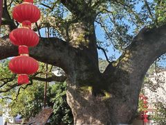 -新安江山水画廊风景区