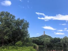 -北坞公园