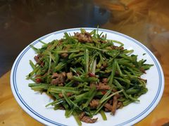 -漳河青花椒鱼头火锅