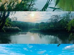 -长兴太湖图影湿地文化园
