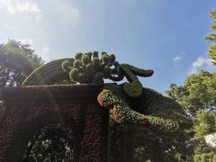 -汇龙潭
